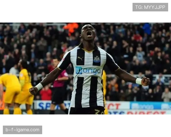 南安普顿重返荣耀：英超时代高光时刻与复兴之路